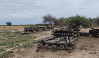 Campo Mixto en Amamá, Santiago del Estero