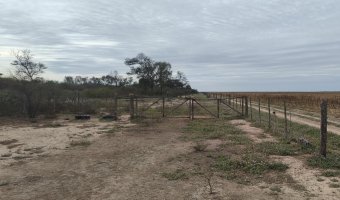 Campo Mixto en Amamá, Santiago del Estero