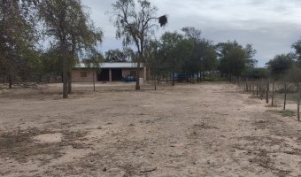 Campo Mixto en Amamá, Santiago del Estero