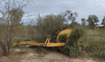 Campo Mixto en Amamá, Santiago del Estero