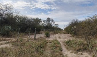 Campo Mixto en Amamá, Santiago del Estero