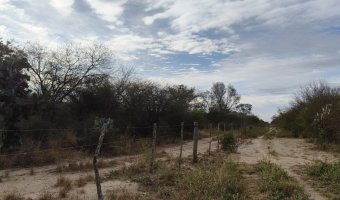 Campo Mixto en Amamá, Santiago del Estero