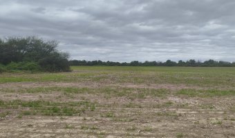 Chacra en Estación Simbolar, Santiago del Estero