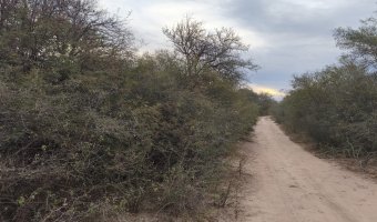 Campo Mixto en Figueroa, Santiago del Estero