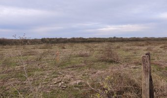 Campo Mixto en Figueroa, Santiago del Estero