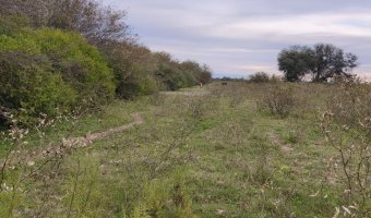 Campo Mixto en Figueroa, Santiago del Estero