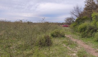 Campo Mixto en Figueroa, Santiago del Estero