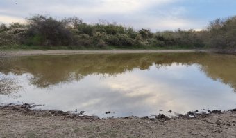 Campo Mixto en Figueroa, Santiago del Estero