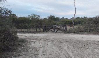 Campo Mixto en Figueroa, Santiago del Estero