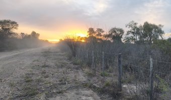Campo Mixto en Figueroa, Santiago del Estero