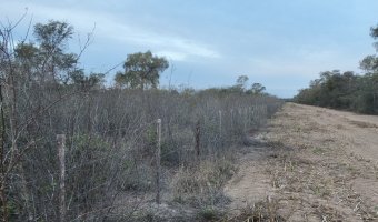 Campo Mixto en Figueroa, Santiago del Estero