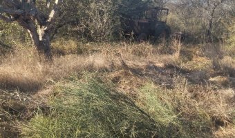 Campo Mixto en Figueroa, Santiago del Estero